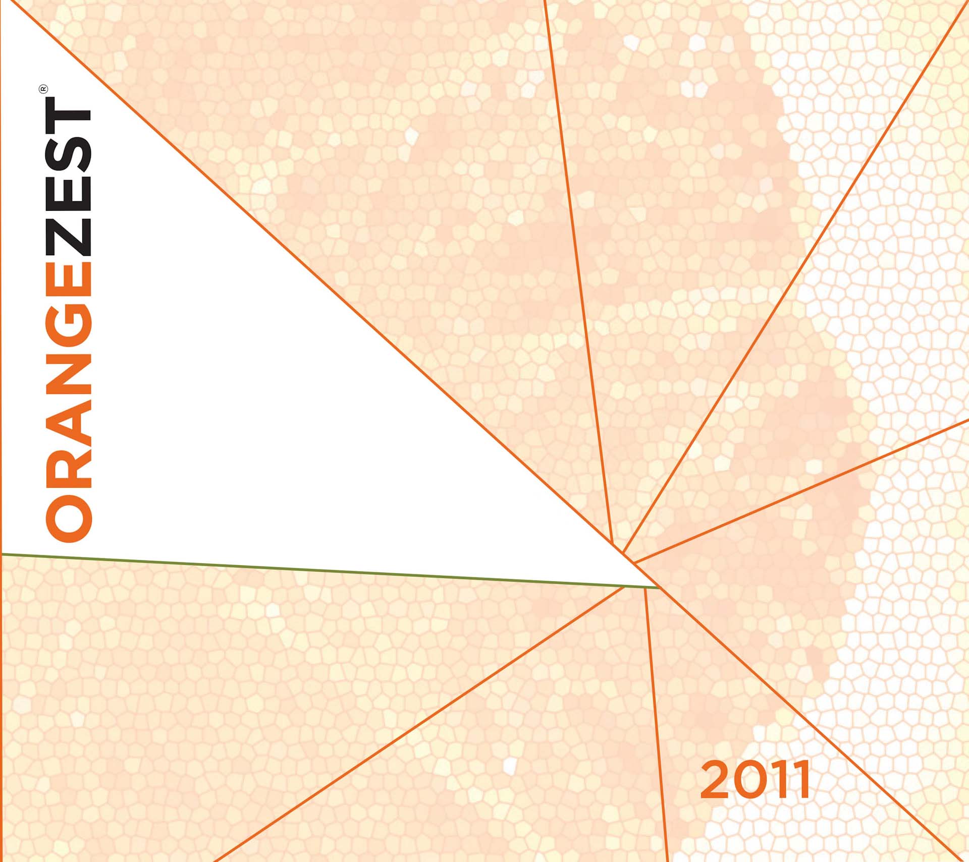 Class of 2011 Yearbook Cover