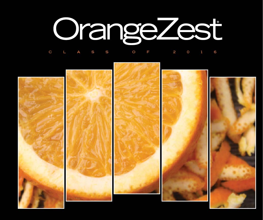 Class of 2016 Yearbook Cover